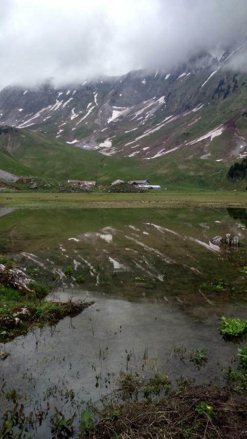 Апартаменты Les Sapins Blancs Вашерес Экстерьер фото